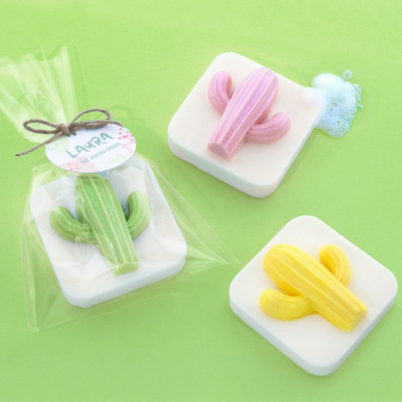 Kit cómo hacer jabón de cactus